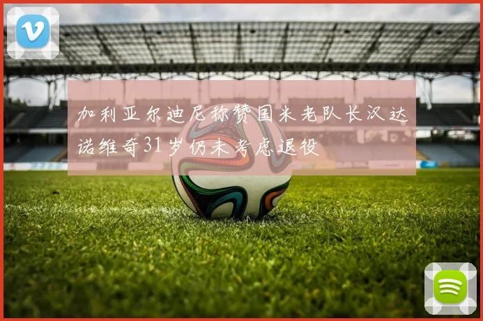 加利亚尔迪尼称赞国米老队长汉达诺维奇31岁仍未考虑退役